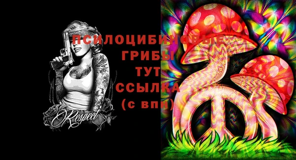 прущие крисы Армянск