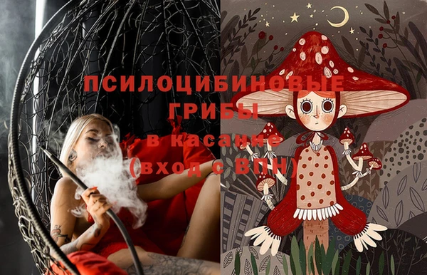 MESCALINE Аркадак