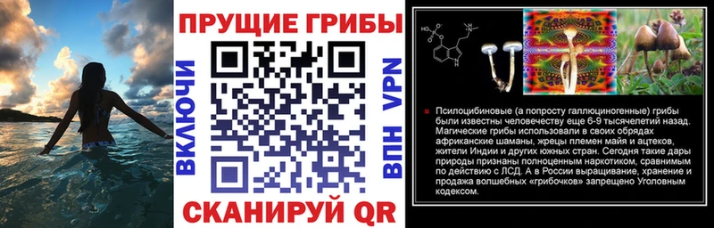 Псилоцибиновые грибы Magic Shrooms  Тутаев 