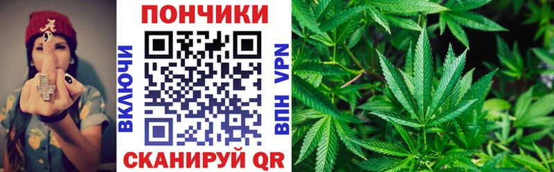 Каннабис гибрид  Тутаев 